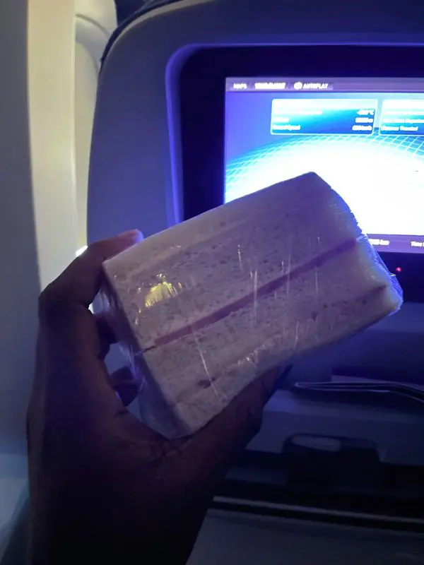 A Survival Guide to the 17-Hour Flight from JFK to Beijing Without Losing Your Mind 4 Traveling Bouquet